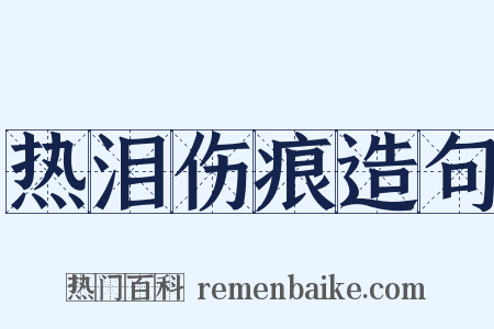 热泪伤痕造句是什么意思的图片